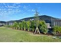 Backyard featuring tropical landscaping surrounding a screened-in pool at 19045 Moscato Ct, Venice, FL 34293