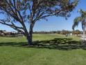 Scenic view of a golf course with lush greenery and mature trees at 444 Pinewood Lake Dr, Venice, FL 34285