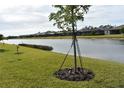 Waterfront property showcasing a peaceful canal view and lush greenery at 2009 Mackerel St, Port Charlotte, FL 33953