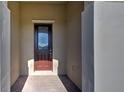 Elegant front door with decorative glass inlay set within a covered, tiled entryway at 11842 Sistine Ln, Venice, FL 34293