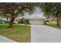 Single-story house with a two-car garage and lush landscaping at 339 Meadow Beauty Ct, Venice, FL 34293