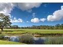 Scenic view of golf course, lake, and trees under a blue sky at 1041 Capri Isles Blvd # 119, Venice, FL 34292