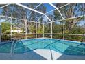 Relaxing screened-in pool surrounded by lush tropical landscaping at 707 Petrel Way, Venice, FL 34285