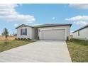 Single-story house with a two-car garage and a paved driveway at 31698 Wild Grape Ln, Brooksville, FL 34602