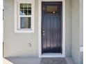 Dark-gray front door with glass panel and sidelight window at 3919 Radiant Mountain Dr, Plant City, FL 33565