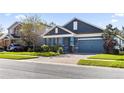 Two-story house with blue siding, gray roof, and a two-car garage at 1570 Fox Grape Loop, Lutz, FL 33558