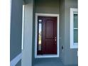 Close-up of the front door, showcasing the modern design and sidelight window at 135 Sunset Rd, Rotonda West, FL 33947