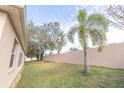Landscaped backyard with a tall palm tree and a privacy wall at 12908 Cattail Shore Ln, Riverview, FL 33579