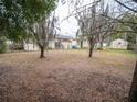 Large backyard with mature trees and a spacious grassy area at 38906 North Ave, Zephyrhills, FL 33542