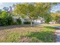 House with mature landscaping and large tree in front at 4137 Glissade Dr, New Port Richey, FL 34652