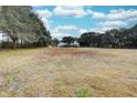 Farmhouse on large lot with surrounding trees and pasture at 6936 Handcart Rd, Wesley Chapel, FL 33545