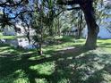 Backyard view with a pond and mature trees, creating a tranquil outdoor setting at 7177 E Bank Dr # 102, Tampa, FL 33617