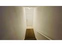 View of the carpeted staircase leading to a white door at the top at 10519 Villa View Cir # 10519, Tampa, FL 33647