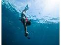 Person snorkeling underwater amongst marine life at 13233 Gulf Bay Ln, Spring Hill, FL 34609