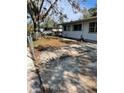 View of the front yard with a large tree and driveway at 1716 Lancelot Loop, Tampa, FL 33619