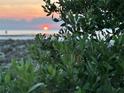Beautiful sunset view over the ocean, framed by lush green foliage at 6138 Island Dr, Weeki Wachee, FL 34607
