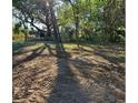 Spacious backyard with mature trees and partial clearing at 307 Tweed Ave, Seffner, FL 33584