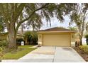 Attached garage with driveway and landscaping at 2321 Rothenfeld Ct, Land O Lakes, FL 34639