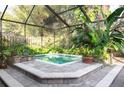 Inviting, screened-in pool area, perfect for relaxation at 12917 Rain Forest St, Temple Terrace, FL 33617