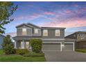 Charming two-story home with well-manicured landscaping and a three-car garage at 16462 Courtyard Loop, Land O Lakes, FL 34638