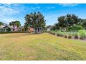 Community featuring houses with green lawns and lush landscaping at 320 Winterside Dr, Apollo Beach, FL 33572