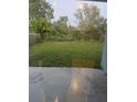 View of the backyard overlooking a lush lawn and mature trees and shrubbery at 13034 Avalon Crest Ct, Riverview, FL 33579