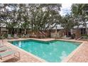 Refreshing community pool with lounge chairs and patio area at 1500 Mahogany Ln # 605, Palm Harbor, FL 34683