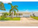 Front view of a single story home with a white exterior, palm trees and lawn at 9125 39Th N Ln, Pinellas Park, FL 33782