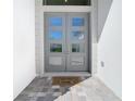 Gray double front doors with glass panels and a welcoming mat at 8731 Sanders Tree Loop, Wesley Chapel, FL 33545
