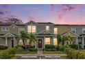 Charming townhome with well-maintained landscaping and a private entrance under colorful sunset sky at 3342 Broken Bow Dr, Land O Lakes, FL 34639