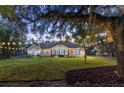 Expansive backyard with string lights and a large oak tree at 4586 Hickory Oak Dr, Brooksville, FL 34601