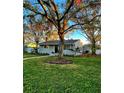 Newly renovated home with a manicured lawn and mature trees at 6338 8Th S Ave, Gulfport, FL 33707