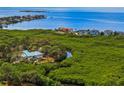 Aerial view of waterfront home with lush landscaping and private dock at 1580 Mac Chesney Dr, Tarpon Springs, FL 34689