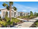 Scenic street view showcasing homes with well-manicured lawns and sidewalks for a walkable neighborhood at 28732 Rambutan Dr, Wesley Chapel, FL 33543