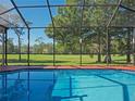 Sparkling in-ground pool with screened enclosure, offering a relaxing view of the surrounding landscape at 15618 Shoal Creek Pl, Odessa, FL 33556