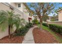 Landscaped walkway leading to the townhome entrance at 290 Valencia Cir, St Petersburg, FL 33716