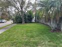 Spacious grassy side yard with mature trees and a wooden fence at 4202 W Culbreath Ave, Tampa, FL 33609