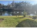 This backyard view features a tranquil pond and lush lawn with local wildlife, enhancing the property's charm at 1105 Savannah Landings Ave, Valrico, FL 33596