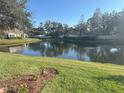 Scenic backyard view features a tranquil pond, lush lawn, and mature trees creating a serene outdoor living space at 1105 Savannah Landings Ave, Valrico, FL 33596