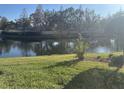 This backyard view features a tranquil pond and lush lawn, enhancing the property's serene outdoor charm at 1105 Savannah Landings Ave, Valrico, FL 33596