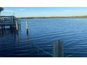 Scenic waterfront view with calm water and distant shoreline at 152 Carlyle Dr, Palm Harbor, FL 34683