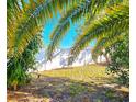 A tranquil backyard space with lush palm trees and a white fence at 7521 Coventry Dr, Port Richey, FL 34668