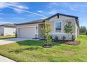 One-story house with attached garage, landscaping, and a tree at 3146 Forrest Plum Ct, Zephyrhills, FL 33540