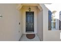 Front entrance with black door and decorative doormat at 6211 S Macdill Ave # 1, Tampa, FL 33611