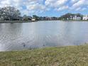 A tranquil view of a serene pond reflects blue skies and outlines the community at 208 Nina Way # 208, Oldsmar, FL 34677