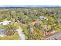 Expansive aerial view of a secluded property surrounded by lush trees on a partly cloudy day at 1315 Cowart Rd, Plant City, FL 33567