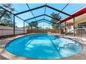 Screened-in pool area offering privacy and enjoyment at 2233 Curlew Rd, Dunedin, FL 34698