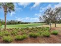 View of the lush green golf course, framed by palm trees and blue skies at 4825 Benito Ct, Bradenton, FL 34211