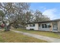 Charming ranch home with mature trees and curb appeal at 6602 S Emerson Ave, St Petersburg, FL 33707