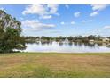 Serene lake view with fountain and lush landscaping at 12038 Steppingstone Blvd, Tampa, FL 33635